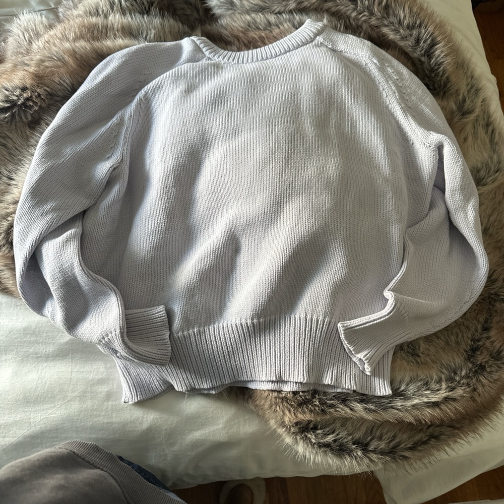 J. Crew Light Purple Crew Neck Sweater